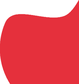 TürkWebNet Elbistan Web Tasarım